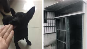 阿公幫蓋狗屋　網友一看傻了：館長的大雄？（圖／翻攝自爆廢公社臉書）