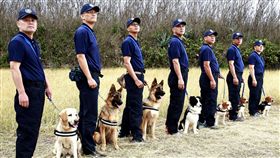 澎警局票選最萌警犬（1）澎湖縣政府警察局警犬隊，5月1日起將公開票選「最萌警犬」，作為成立週年的最佳獻禮。（澎湖警局提供）中央社　107年4月30日