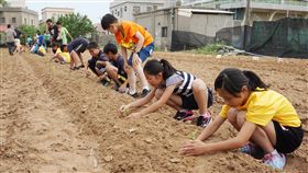 迎西瓜節　金門學童種瓜苗第10屆新前墩西瓜節7月將登場，金門縣新前墩社區發展協會4日特別邀請附近3所國小學童一起種下今年第一批西瓜，為西瓜節活動揭開序幕。中央社記者黃慧敏攝　107年5月4日