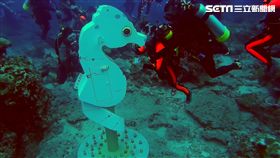 超越和歌山! 全球最深豆丁海馬郵筒啟用