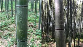 「李偉立到此一遊」　京都嵐山竹林遭遊客破壞