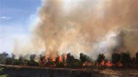 台南奇美博物館三爺溪旁的小森林火災（圖／翻攝自爆料公社）