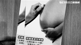 少子化,懷孕,凍卵,不孕,寶寶,分娩,孕婦（圖／記者李鴻典攝）