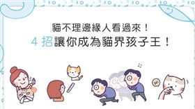 名家／毛起來／一直被貓無視？4招讓你成貓界孩子王