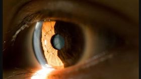 眼角膜 圖／翻攝自《Ranker》 https://www.ranker.com/list/black-market-organ-cost/april-a-taylor