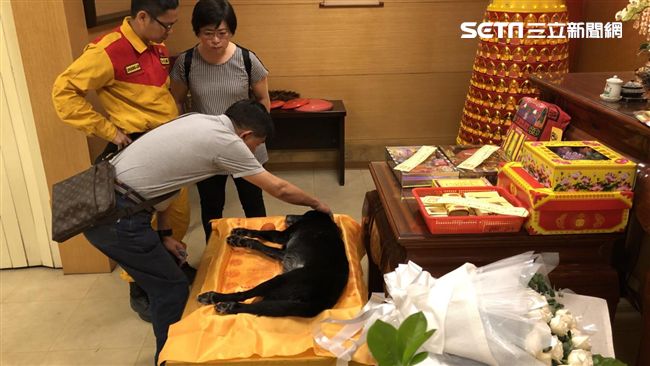 感謝你！搜救犬過世　消防員含淚紀念