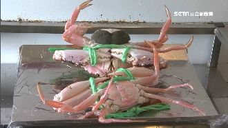 點兩蟹只有一殼？客PO網控偷天換日