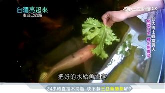 台大博士棄醫從農　用「魚」種無毒菜