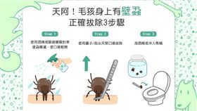 名家／毛起來／發現壁蝨千萬別硬拔！正確拔除3步驟