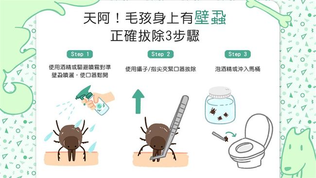 狗狗身上壁蝨別硬拔！正確拔除3步驟