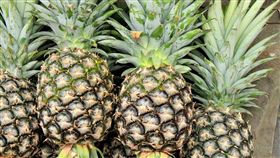 鳳梨 圖／Pixabay