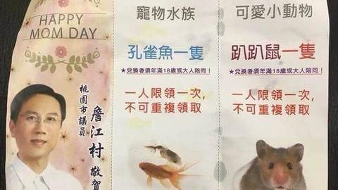 有事嗎？藍營議員母親節竟送活魚＋鼠