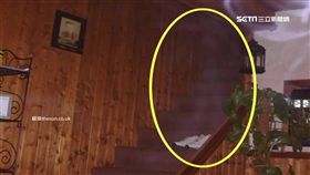 直擊阿飄來騷擾　這家人只求和平共處（圖／翻攝自Dailymail）