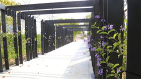 台中花博打造藤蔓隧道　營造浪漫氛圍台中花博園區正加緊趕工中，位於豐原的葫蘆墩園區以錫葉藤打造全長約30公尺的浪漫「藤蔓隧道」，營造繽紛浪漫氛圍。（台中市府提供）中央社記者郝雪卿傳真　107年4月29日