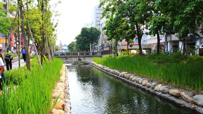 遭指荒廢綠柳川　盧：維護預算照常