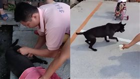 跛腳浪浪狂哀鳴　國術師按摩「關鍵5分鐘」…下秒奇蹟發生
圖／翻攝自大寮五四三~開講吶喊專用臉書
https://www.facebook.com/groups/481242948637466/permalink/1730071993754549/