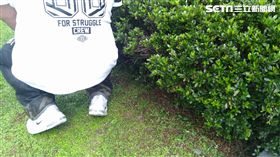 花圃,花園,蹲著（示意圖）