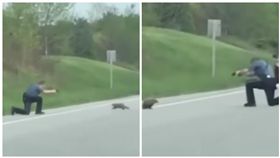 土撥鼠公路討摸卻遭警開槍　民眾崩潰 美國,馬里蘭,土撥鼠,討摸,公路,塞車,擊斃（圖／翻攝自YouTube）