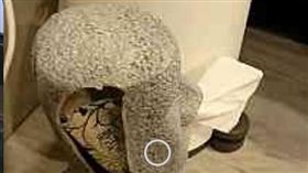 有一名民宿員工昨（8）日在臉書社團「爆怨公社」指出，有客人不慎打破要價1780元的民宿的裝飾品，該名客人原先說好要賠償，不料竟「人間蒸發」，直接關掉臉書與電話。其他網友看到後，紛紛直呼「才一千多元，有什麼好跑的？」（圖／翻攝自爆怨公社）