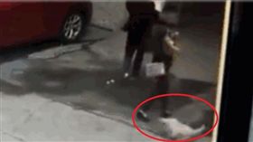 大陸廣州有一名47歲張姓婦人行經大樓門口時，突然天降一隻小狗，張婦被小狗砸中頸椎，癱倒在地。送醫治療後，張婦傷勢嚴重，目前頸椎斷裂，頸部以下全部癱瘓。 （圖／翻攝自新浪新聞）