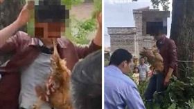 大陸廣西桂林市一名男子闖進村莊偷雞，村民見況後，為了教訓男子，將他綁在樹上，並塞一隻雞在他嘴內懲罰。其他大陸網友看到後，紛紛同情那隻雞，直呼「雞也太倒楣！」（圖／翻攝自微博）