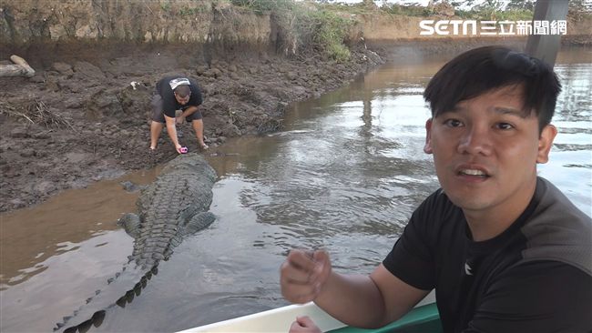 拿肉耍弄鱷魚黑幫　男星嚇到命都沒了