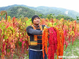 台灣之光！排灣族青年晉升國際新寵