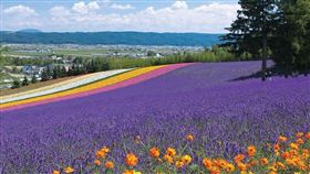 花田還是祈園祭？日本夏季旅遊推薦！
業配
日本,旅遊,盈達旅遊,京都,清水寺,北海道,薰衣草
