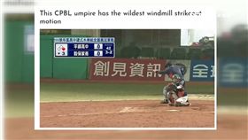 台主審「大風車拉弓」　登大聯盟官網
SOT
棒球,主審,三振,拉弓,大風車,大聯盟,職棒,高中棒球