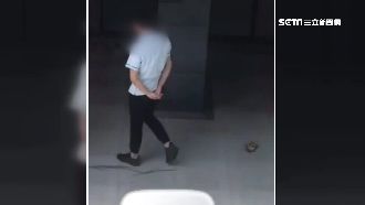 狠踩+飛踢！屁孩虐待烏龜引公憤