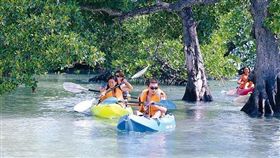 業配／暑假直飛！菲律賓巴拉望 海陸空一次玩透透