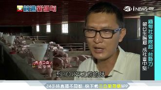 緬甸掀「台勢力」！留台生養豬有錢景