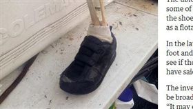 加拿大,人腳,殘肢,布鞋,白骨,海嘯,邪教組織（圖／翻攝自The Guardian）