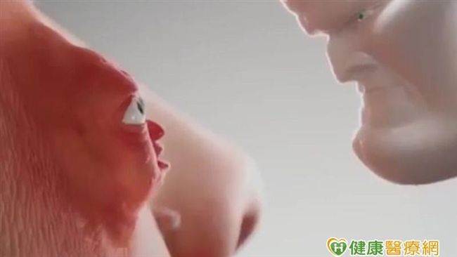 丘疹膿疱型酒糟　這樣治療照護超有效