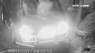 鐵製車擋阻盜伐　150萬扁柏守住了