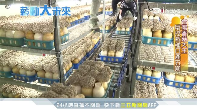 「菇」軍奮戰拚研發　菇農創億元營收