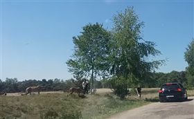 ▲圖／翻攝自YouTube