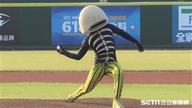 謎之魚開球。（圖／記者王怡翔攝）