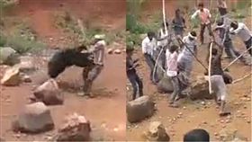 熊,自拍,印度,奧薩里邦,Odisha,裩棒,亂打,襲擊,預謀,陰謀 圖／翻攝自Youtube https://goo.gl/wHktaj