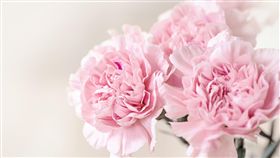 ［翻攝自Pixabay］