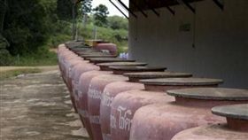 泰國,文化,一夫多妻,風俗,法律,男女比例,水缸（圖／翻攝搜狐網）