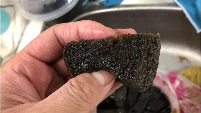 消暑聖品慘變「黑海綿」　他嚇傻秒退