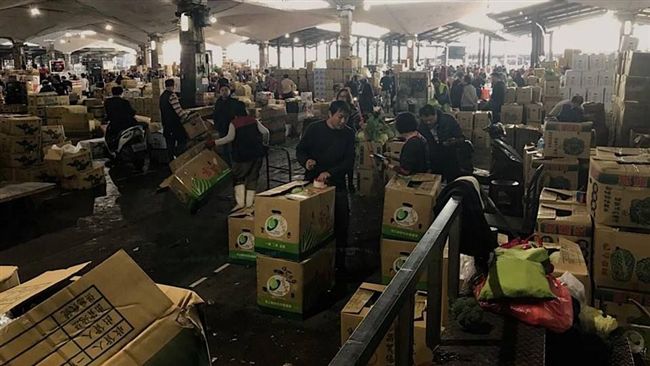 收北農殘貨遭指圖利　溪州老人落淚