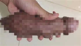 就是這張狗狗照　看出你的邪惡指數（圖／翻攝自Nikki Ibaos臉書）