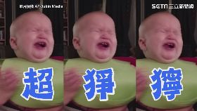 初嚐檸檬表情超猙獰！萌娃：酸到懷疑人生