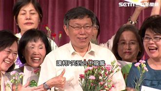 禮讓柯P有望？綠議員揭「分裂」影響