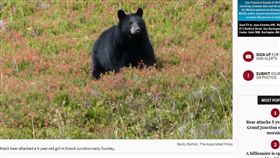 ,黑熊
https://www.denverpost.com/2018/05/13/bear-attack/
