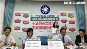 國民黨團,蔡政府施政滿意度（圖／記者李英婷攝）