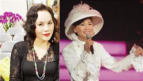 李珮菁，鳳飛飛。(翻攝自鳳飛飛、李珮菁臉書)