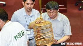 台北市議員林世宗送上鳥籠。 （圖／記者林敬旻攝）